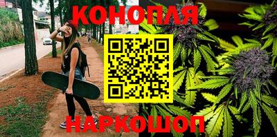 прущие грибы Новокубанск
