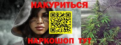 прущие грибы Новокубанск