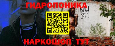 гашиш Новодвинск