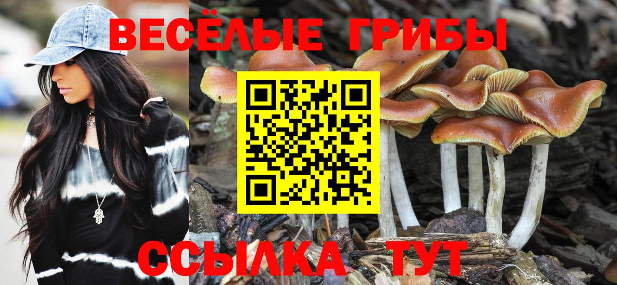 Псилоцибиновые грибы MAGIC MUSHROOMS Полевской
