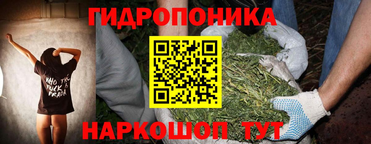 Шишки марихуана сатива Полевской
